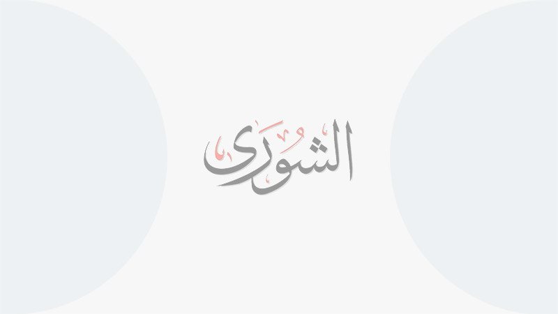 الرئيس السيسي يلتقي نظيره المجري