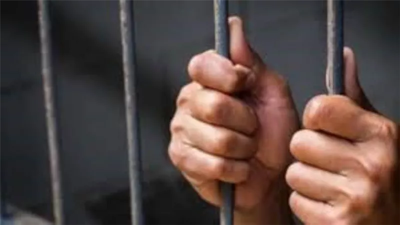عاجل.. حبس أحمد بسام زكي 3 سنوات بتهمة التحرش بفتيات