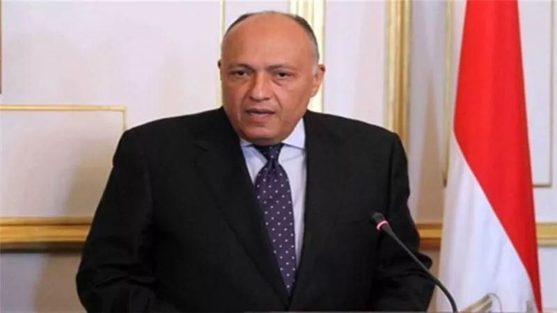 الخارجية: مصر تؤكد ضرورة التوصل لاتفاق حول سد النهضة قبل ملء المرحلة الثانية