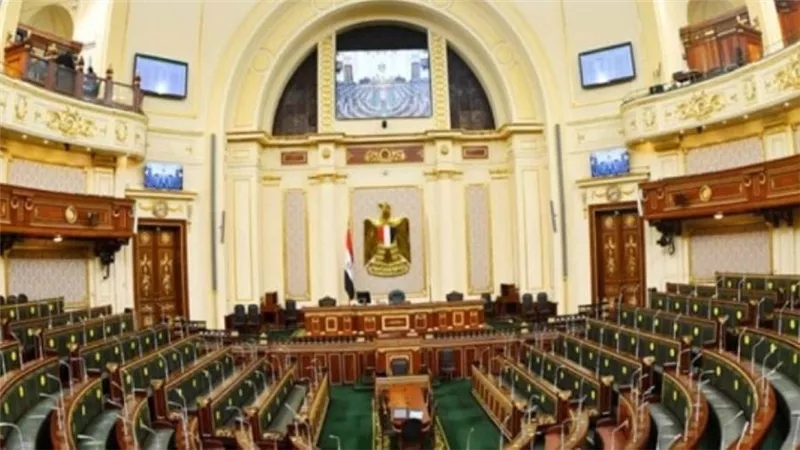 عاجل | فوز أحمد سعد الدين ومحمد أبو العينين بمنصب وكيلي مجلس النواب