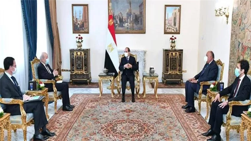 عاجل.. بالصور| السيسي: نتطلع لنقل الخبرات والتكنولوجيا الفرنسية لمصر