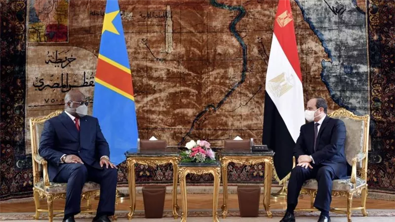 السيسي ورئيس جمهورية الكونغو يبحثان قضية سد النهضة.. 