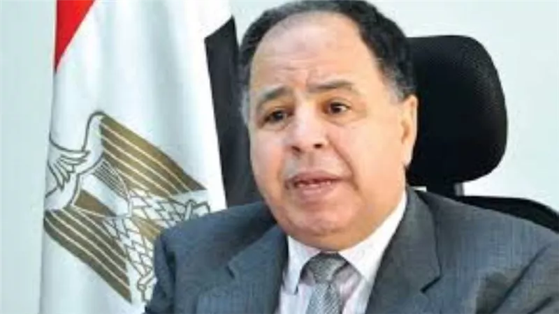 وزير المالية : تغطية 95٪ من البضائع الواردة لمصر بمنظومة «النافذة الواحدة» 