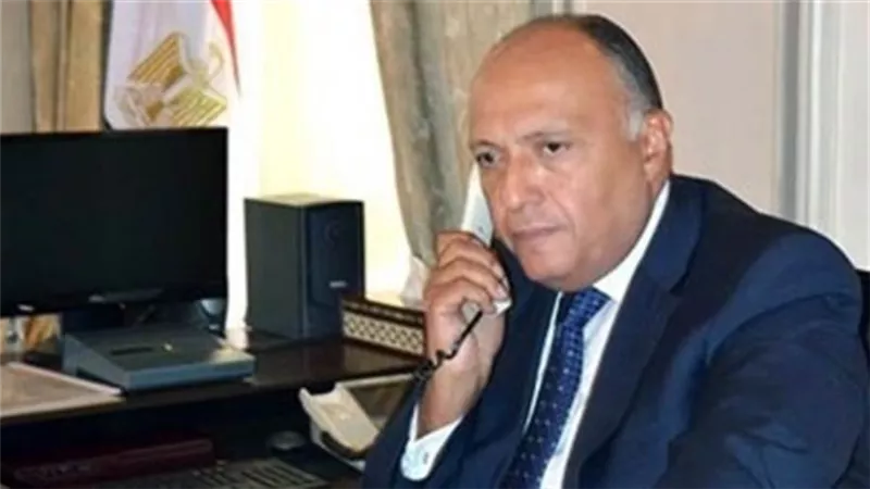 شكري ونظيره الفنلندي يتباحثان حول تطورات ملف سد النهضة 