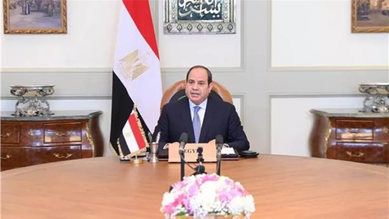  السيسي يؤكد على تعزيز الجهود القارية لمكافحة تداعيات كورونا  