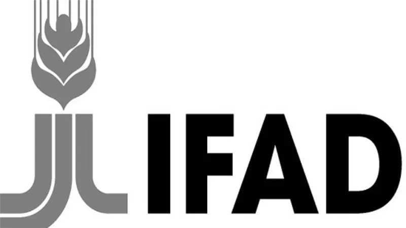 عاجل | انتخاب مصر لعضوية المجلس التنفيذي للصندوق الدولي للتنمية الزراعية IFAD