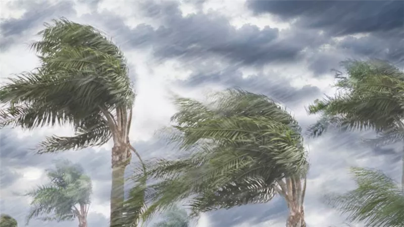 الأرصاد تكشف سبب زيادة الإصابات بالبرد المشابهة لـ