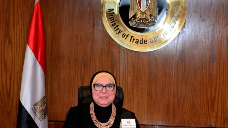 نيفين جامع: حريصون على نقل الخبرة المصرية  لدول المنطقة العربية