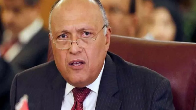 وزير الخارجية يسلم رئيس جنوب أفريقيا رسالة من السيسي (تفاصيل)