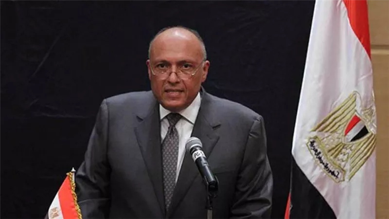 حاملاً رسائل من الرئيس السيسي.. جولة أفريقية لوزير الخارجية بشأن سد النهضة 
