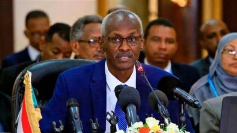 السودان: وضعنا خططا وسيناريوهات محكمة حال الملء الثاني لسد النهضة