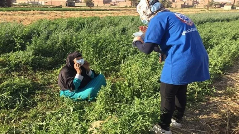 بالصور | ضمن 