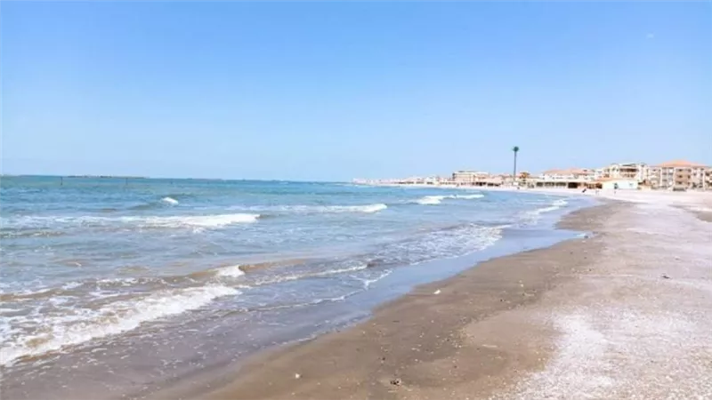 لمجابهة كورونا.. رفع درجة الاستعداد بدمياط وبني سويف خلال احتفالات الربيع