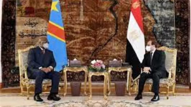 الاتحاد الأفريقي: مصر مستعدة وتدعم الحل السلمى والاتفاق القانونى بشأن سد النهضة (فيديو)