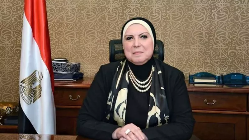 وزيرة التجارة تصدر قرارا باشتراطات الافراج عن سيارات الركوب الكهربائية