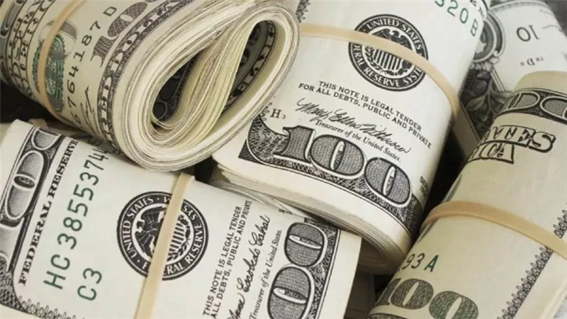 استقرار سعر الدولار مقابل الجنيه المصري اليوم