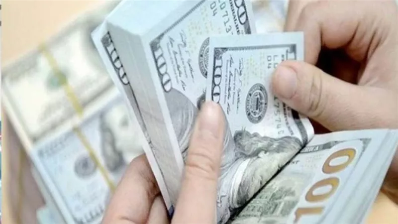 سعر الدولار اليوم في البنوك المصرية