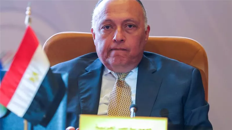 وزير الخارجية يؤكد: مصر تواصل جهودها لتثبيت وقف إطلاق النار في غزة