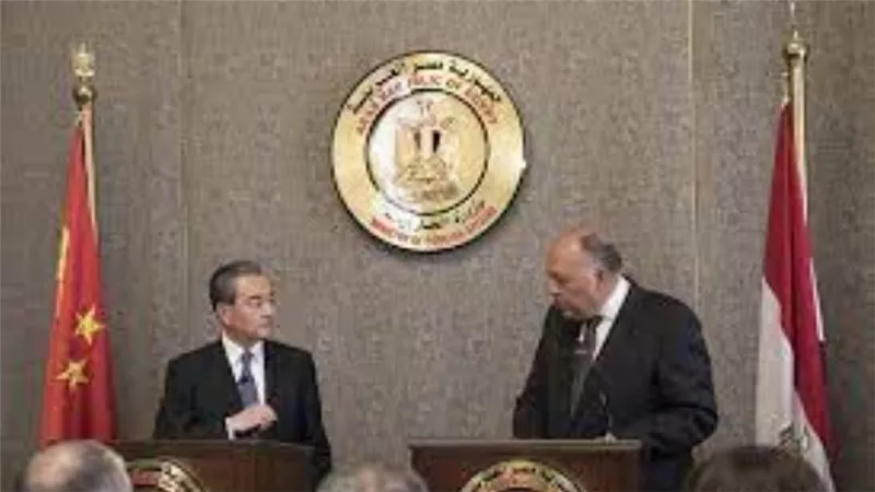 وزير الخارجية يبحث بشكل معمق ملف سد النهضة الإثيوبي مع نظيره الصيني
