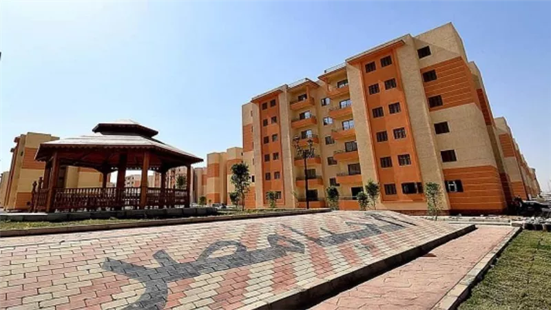 بالصور | 