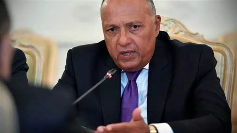 وزير الخارجية يلتقي بأمين حلف الناتو.. والاتحاد الأوروبي يجتمع الأثنين لمناقشة أزمة سد النهضة
