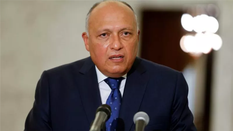 سامح شكري يؤكد أهمية موقف الصين في قضية سد النهضة