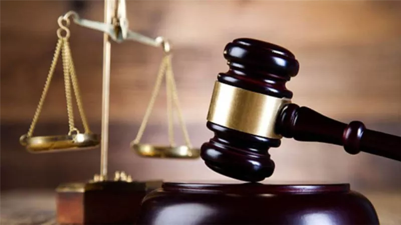 المؤبد لفني محمول بتهمة الانضمام لجماعة إرهابية