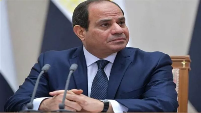 الرئيس السيسي يؤكد أهمية العمل على استثمار ما يتوفر لدى مصر وقبرص من إمكانات