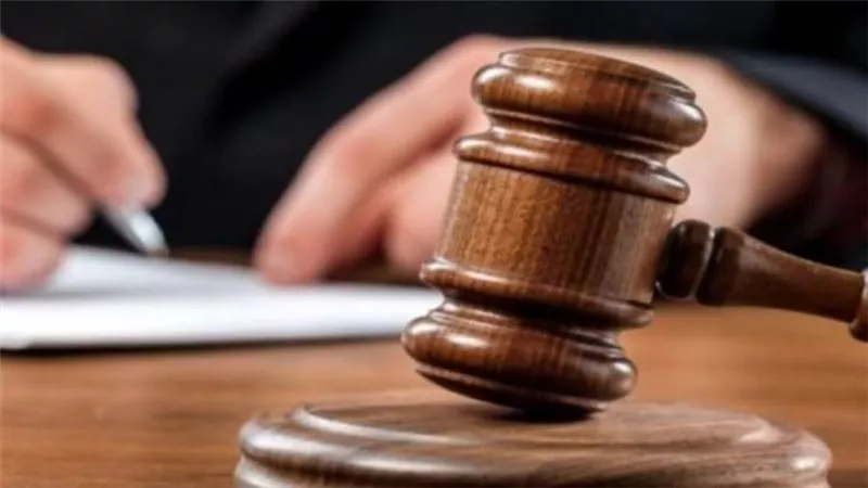 تأجيل محاكمة ٢٢ متهما في قضية اللجان النوعية بحلوان