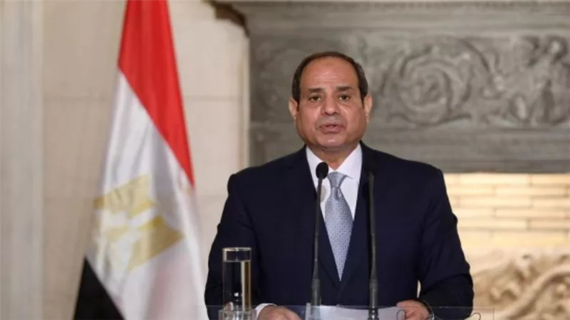 الرئيس السيسي يتابع منظومة دعم وحماية الفنانين وتطوير هيئة التأمين الاجتماعي