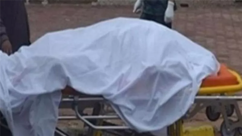 تفاصيل مقتل شخص على يد شقيقه داخل قطار بالمنوفية