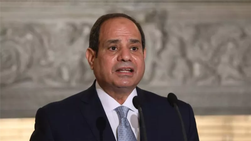 السيسي يوجه بإنشاء 3 مراكز قومية فائقة التطور لتدريب كوادر المهن الطبية بالدولة