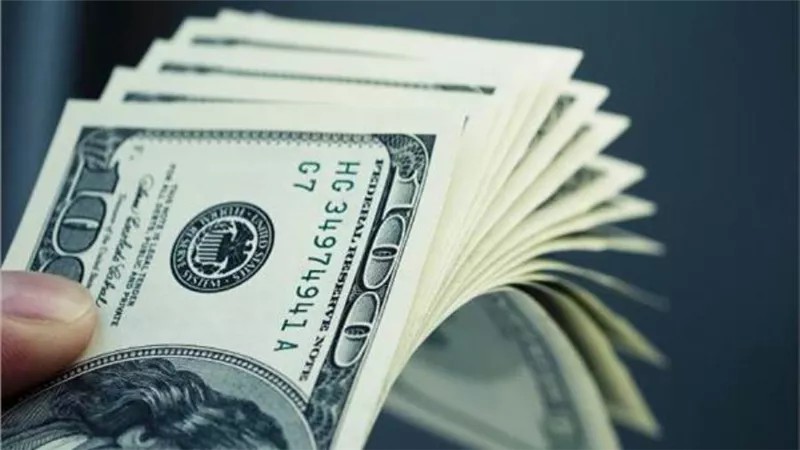 استقرار سعر الدولار اليوم في البنوك المحلية 