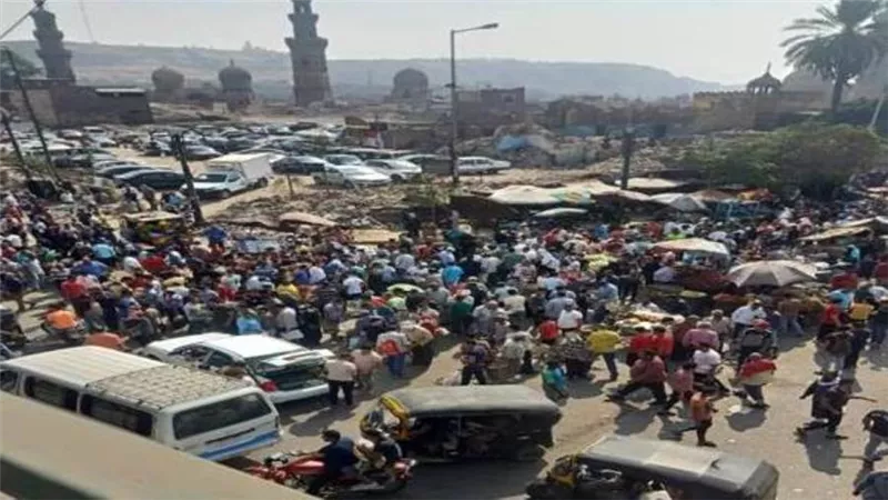 حملة مكبرة لضبط بائعي الزواحف بـ«سوق الجمعة» 