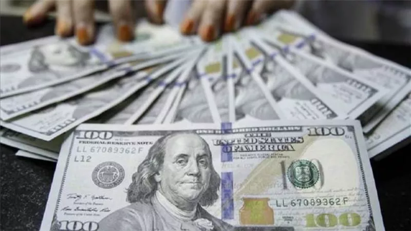 استقرار سعر الدولار بنهاية تعاملات اليوم الإثنين