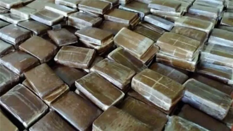 الداخلية تضبط 240 طربة حشيش في الشرقية