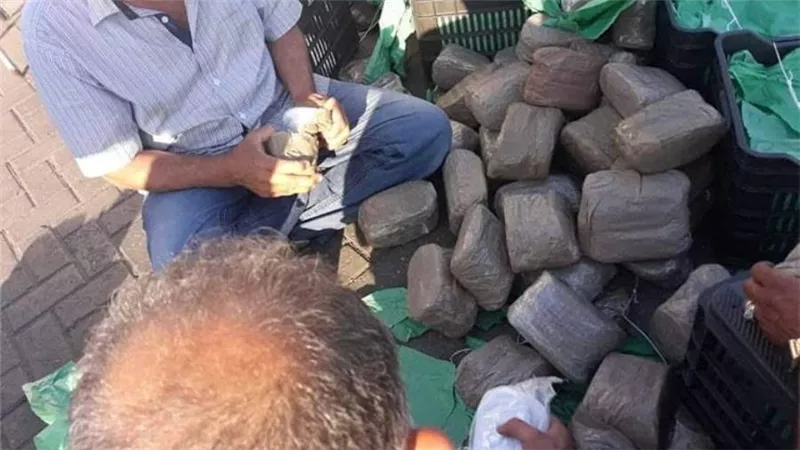 إحباط تهريب 1.7 مليون قرص مخدر عبر جمارك شرق بورسعيد