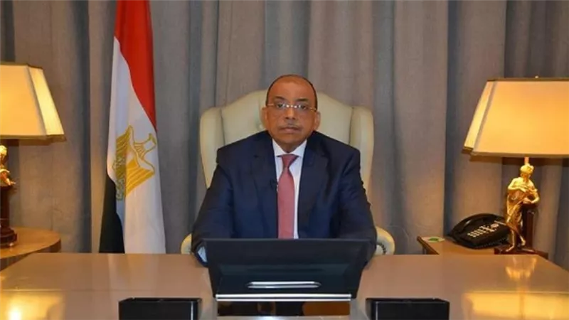 شعراوي: مصر تتطلع لاستضافة قمة المدن الأفريقية 