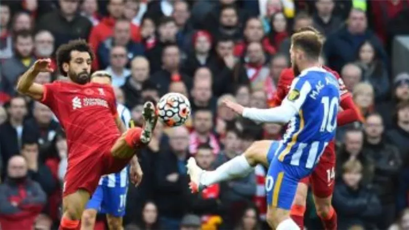 ليفربول يسفط في فخ التعادل أمام برايتون بالدوري الإنجليزي