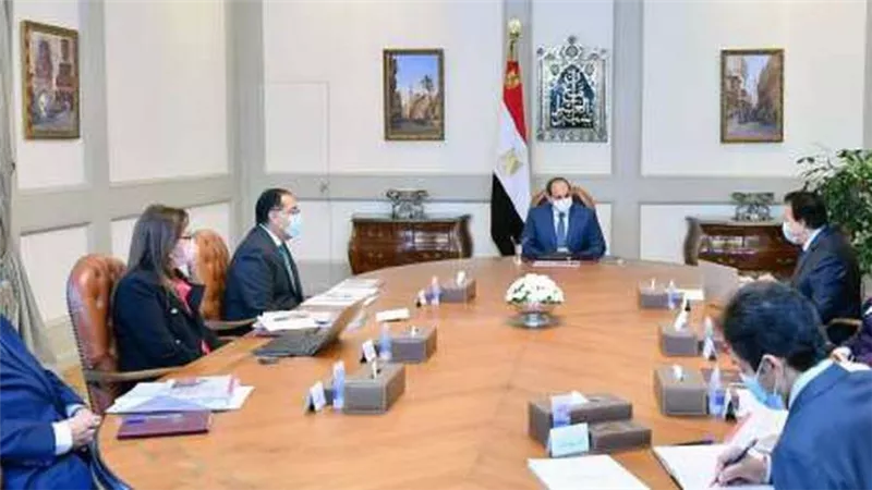 الرئيس السيسي يوجه بتدقيق كافة تفاصيل مشروع 