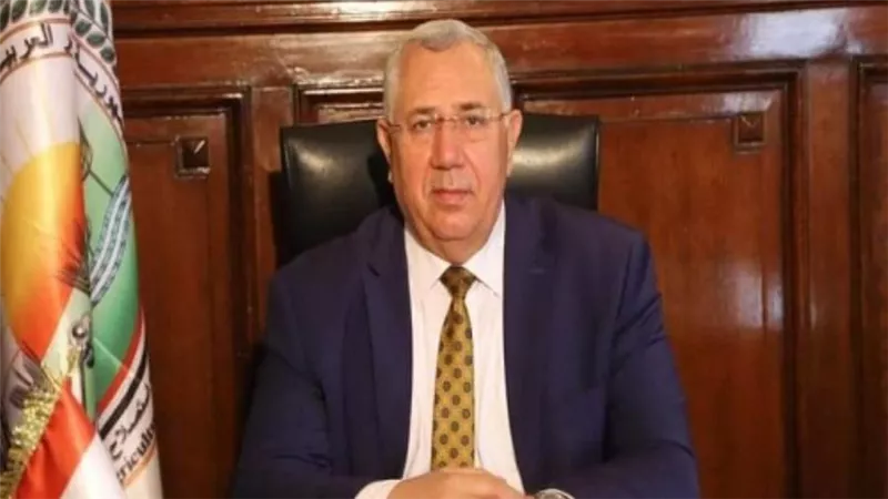 بالإنفوجراف | 