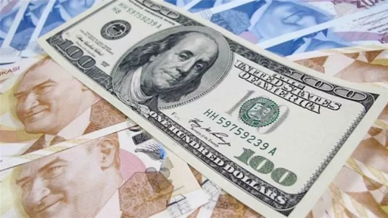 الليرة التركية تسجل هبوطاً قياسياً جديداً أمام الدولار