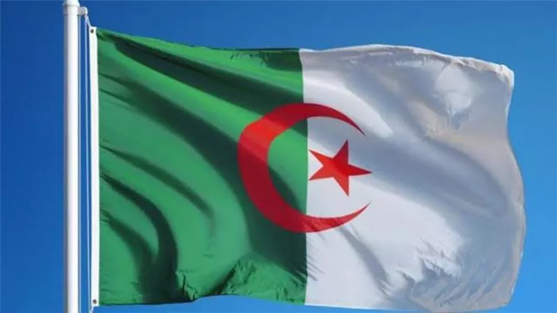 الجزائر تحذر من ازدياد حدة التدخلات العسكرية والسياسية في الشئون الداخلية للدول