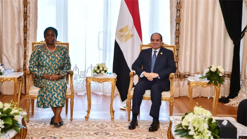 الرئيس السيسي يلتقي سكرتير عام منظمة الكوميسا
