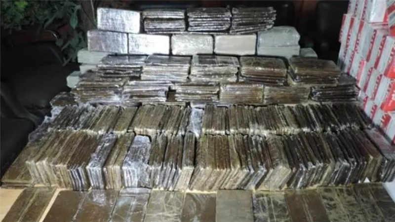 سقوط أفراد تشكيل عصابى بحوزتهم 500 طربة حشيش بقيمة 5 ملايين جنيه فى الجيزة
