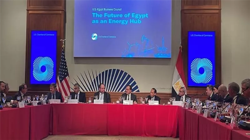 وزير البترول يبحث مع نواب الكونجرس بواشنطن التنسيق المصري الأمريكي في منتدي غاز شرق المتوسط ومؤتمر المناخ (صور)