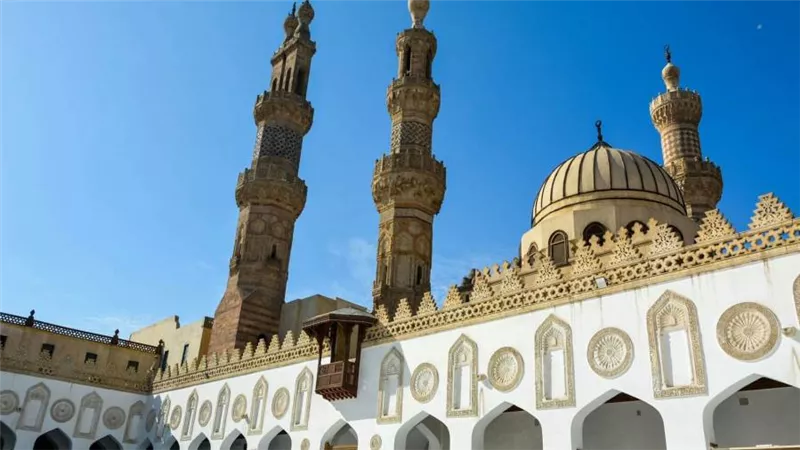 الكشف عن منصات إلكترونية مخصصة لصياغة رسائل الكراهية.. ومرصد الأزهر يحذِّر