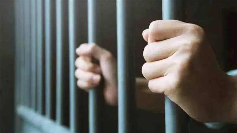 إحالة أوراق 4 متهمين لفضيلة المفتي بتهمة السرقة والقتل