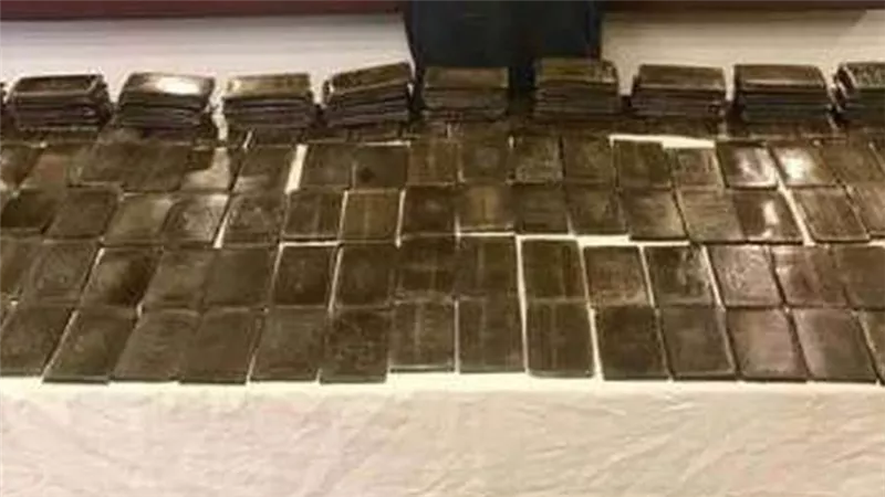الداخلية تضبط 220 طربة حشيش بالبحيرة وبنى سويف