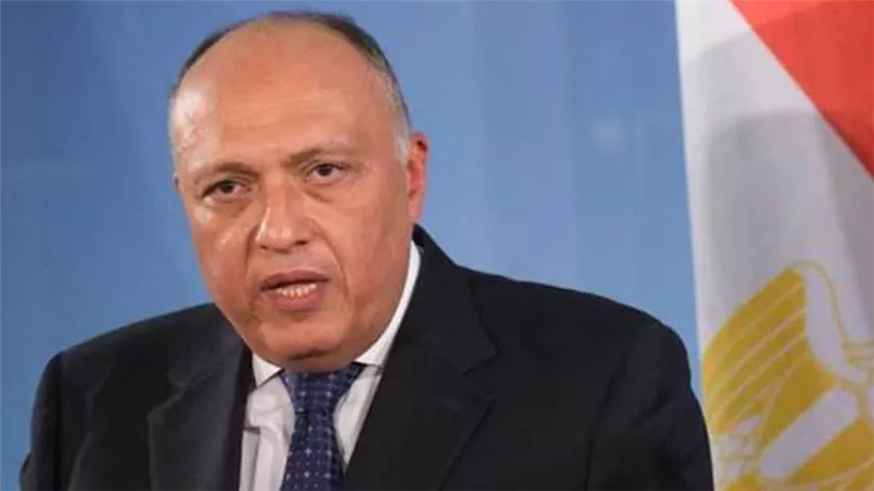 وزير الخارجية: الدولة المصرية اتخذت خطوات هامة لتعزيز حقوق الطفل